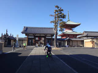 新春サイクリング